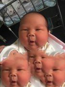 恭喜广东G总，喜得贵子