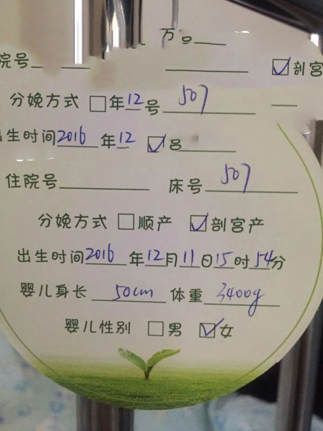 广州代妈