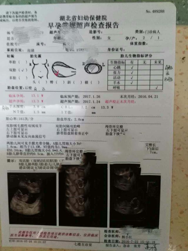广州代妈