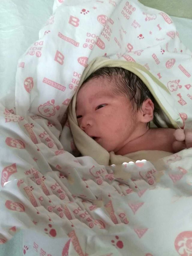广州代妈