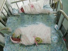 恭喜曾先生夫妇喜得双胞胎