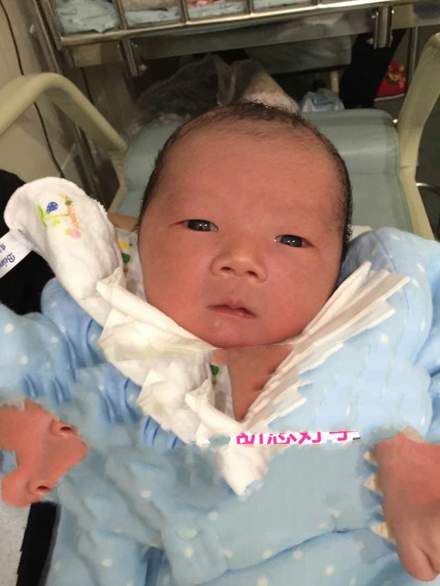 广州代妈