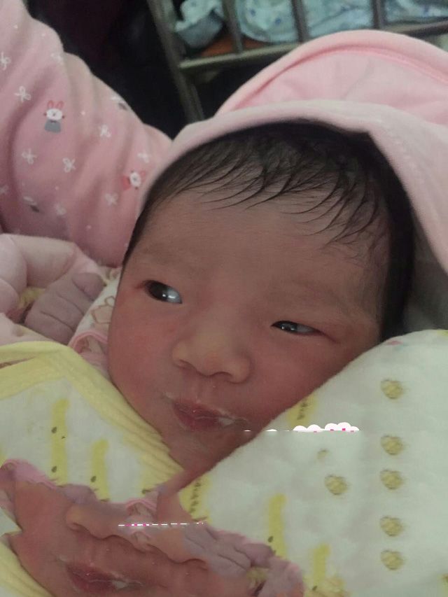 广州代妈