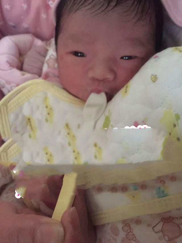 广州代妈