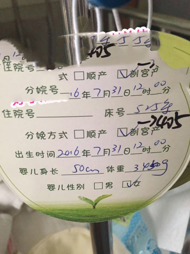 广州代妈
