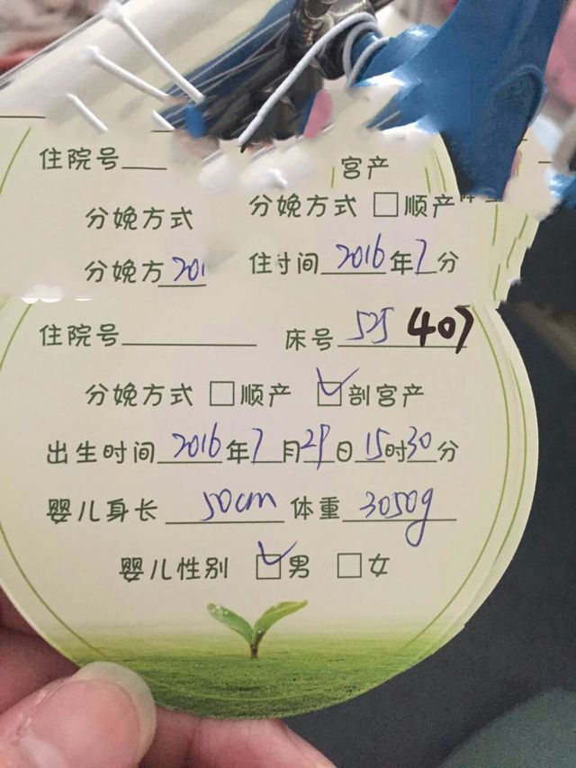 广州代妈